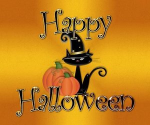 Updated Week 44 of 2013 – Gansbaai News, Specials & Events